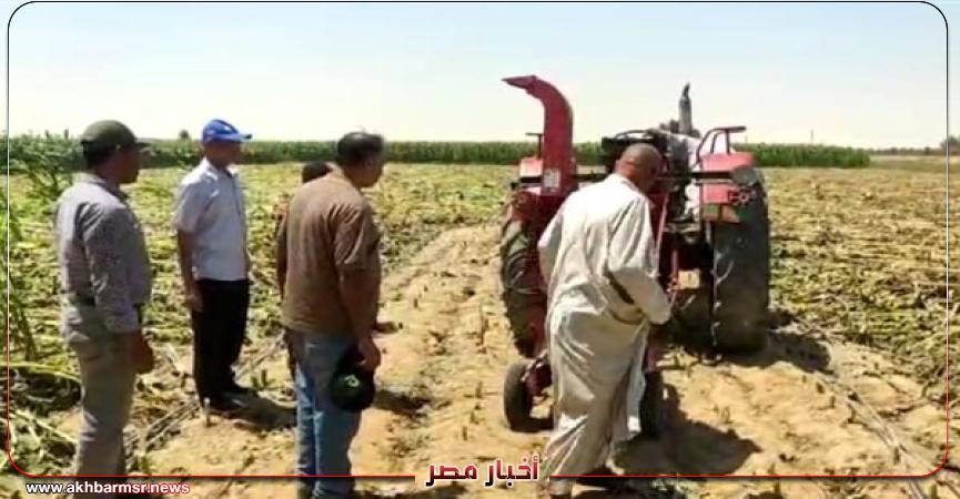 أخبار مصر 2050