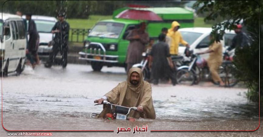 أخبار مصر 2050