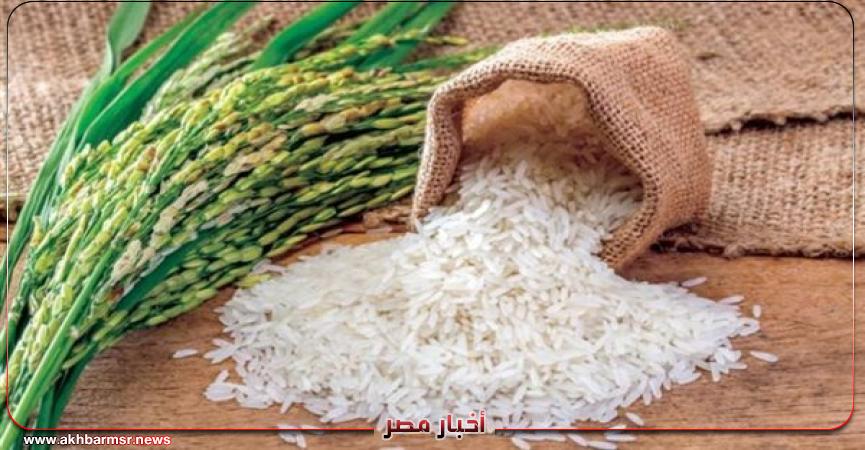 الارز