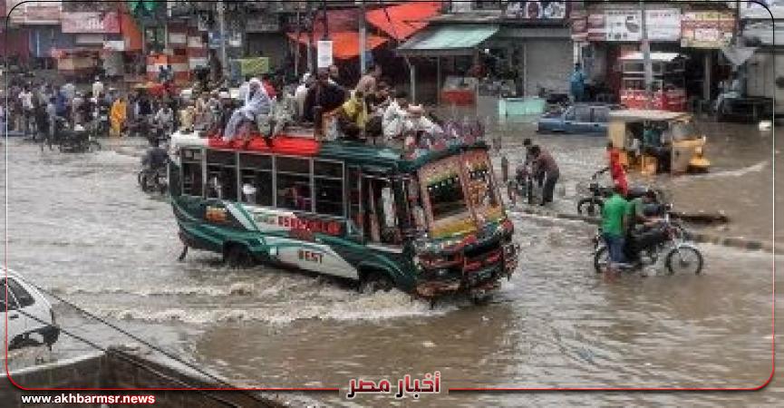 أخبار مصر 2050