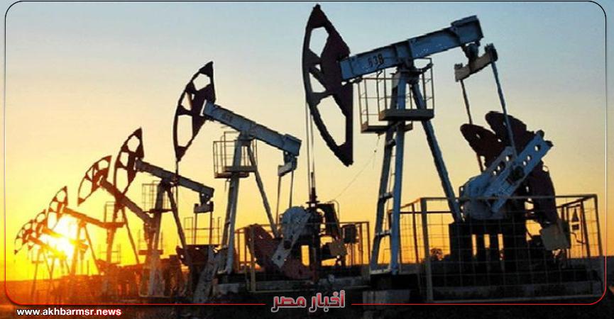 أخبار مصر 2050