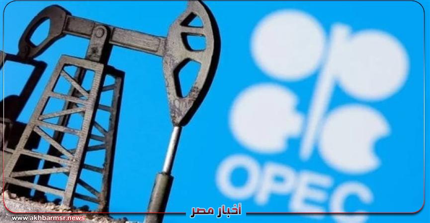 أخبار مصر 2050