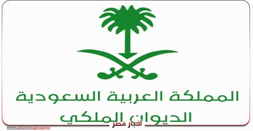 أخبار مصر 2050