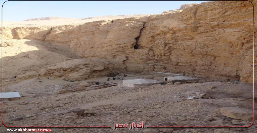 أخبار مصر 2050