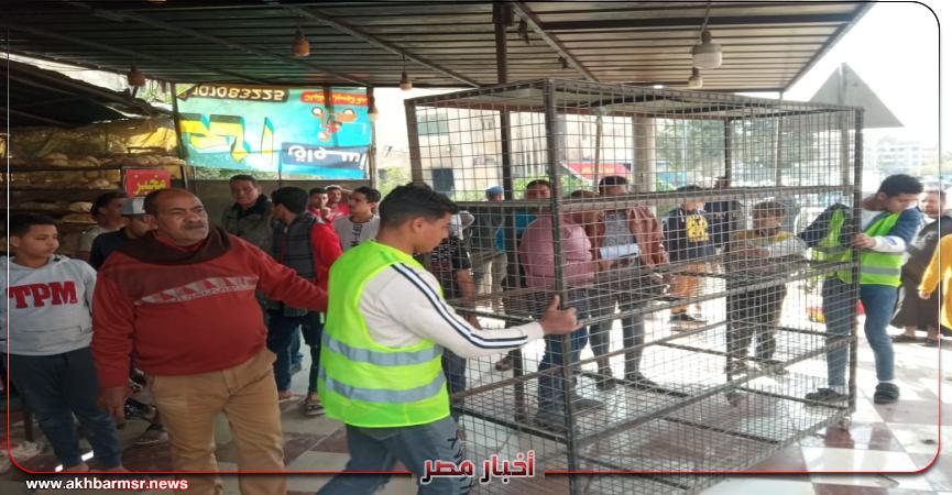 أخبار مصر 2050