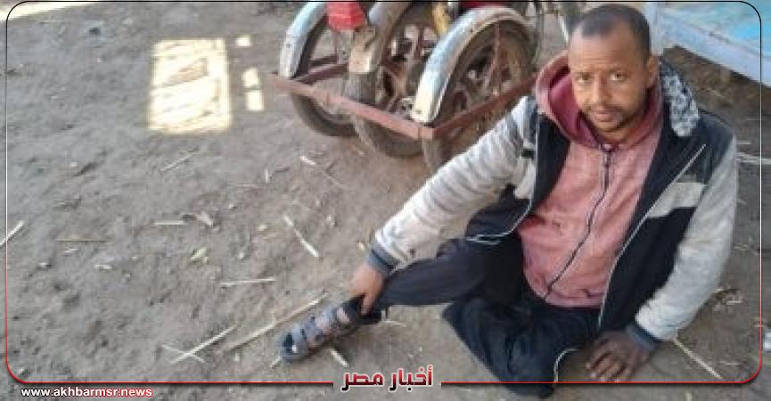 أخبار مصر 2050