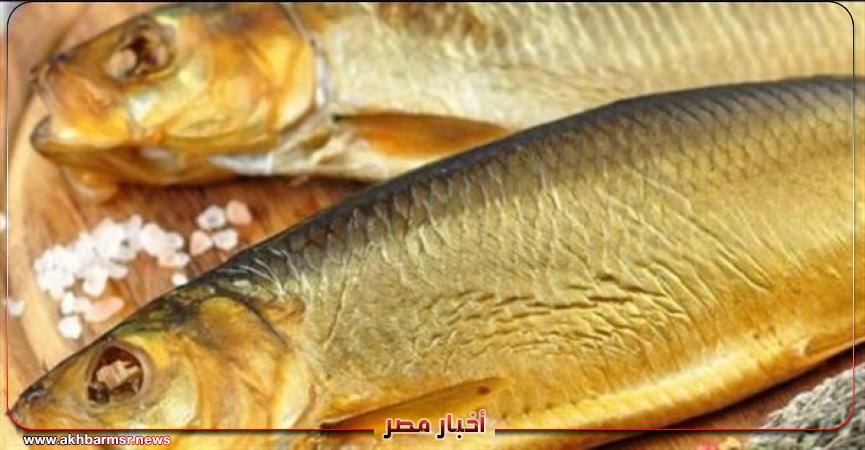 كايرو لايت طريقة عمل الرنجة