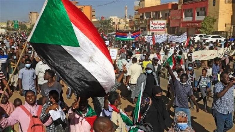 أستاذ بجامعة إفريقيا العالمية السودانية: موقف مصر واضح فى السودان ويؤيد الشرعية