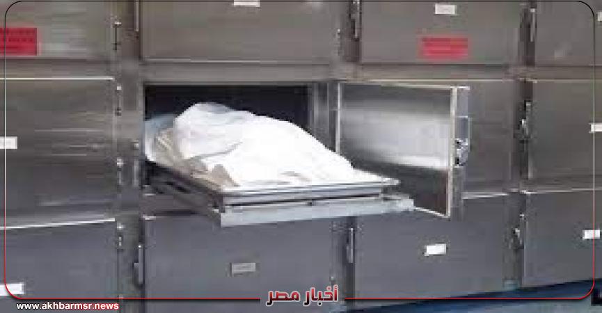 أخبار مصر 2050