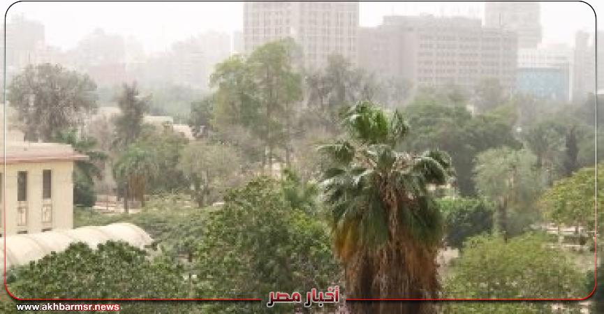 أخبار مصر 2050