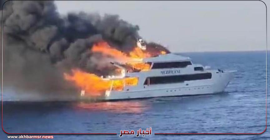 أخبار مصر 2050