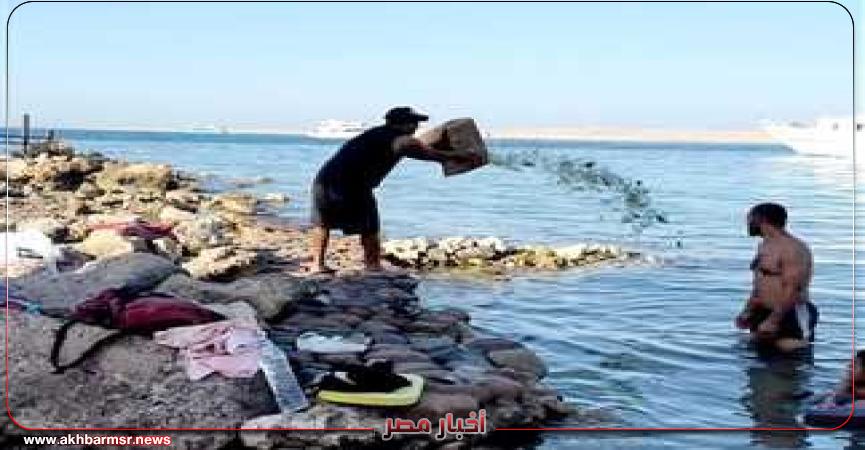 أخبار مصر 2050