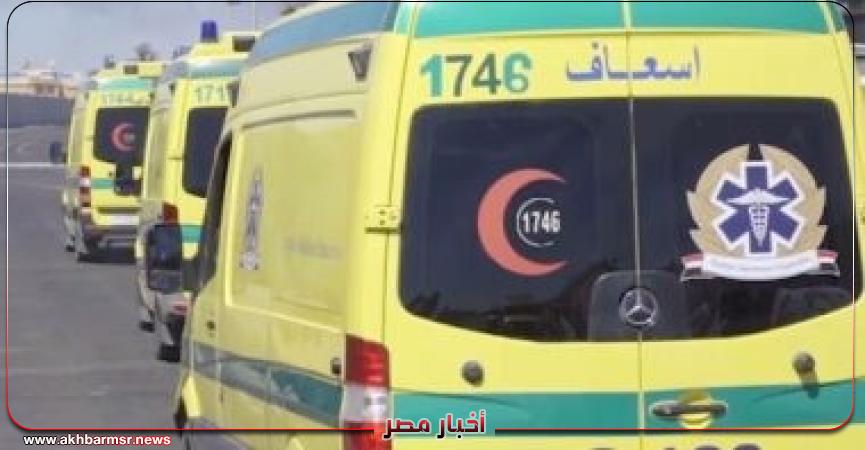 أخبار مصر 2050
