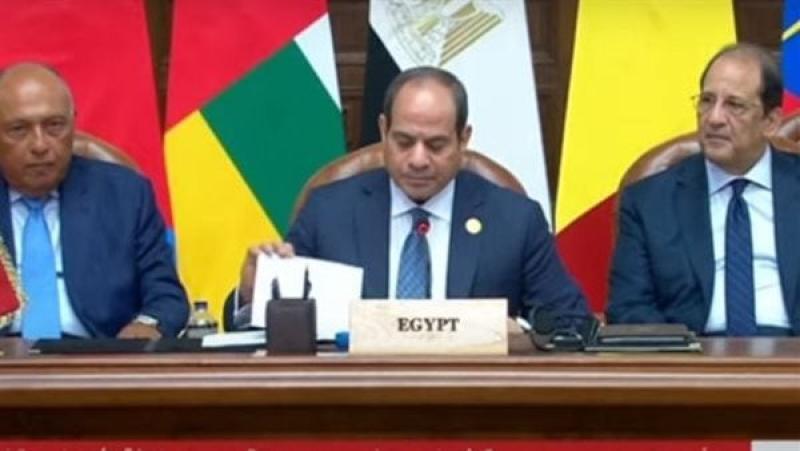 السنوسى يشيد بكلمة الرئيس السيسى فى قمة دول الجوار