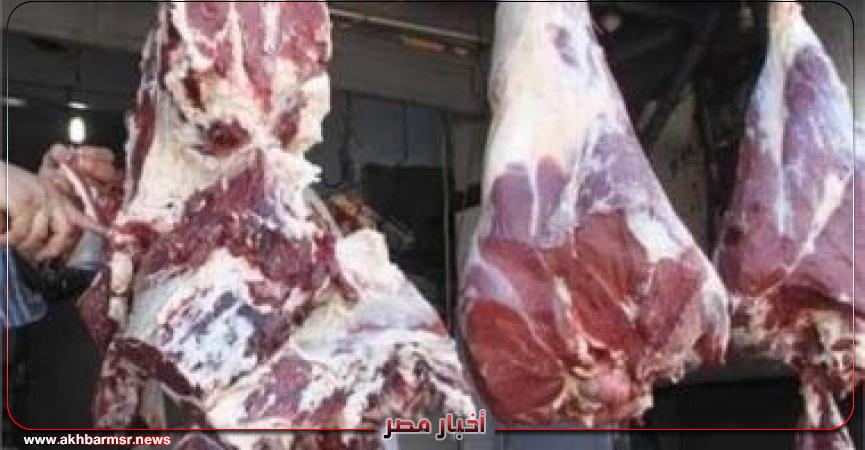 أخبار مصر 2050