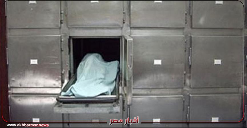 أخبار مصر 2050