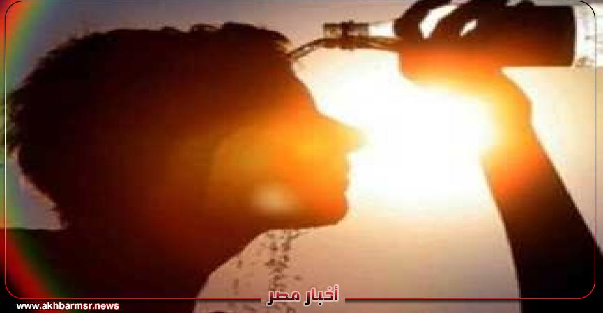 أخبار مصر 2050