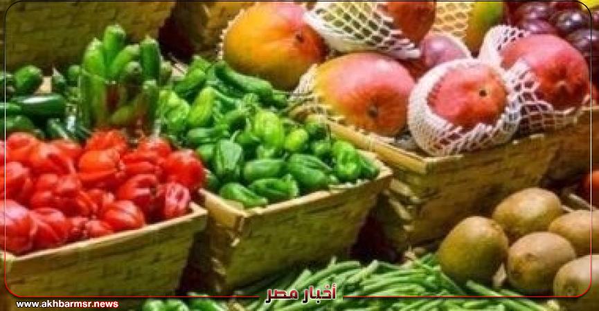 أخبار مصر 2050
