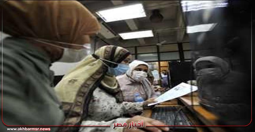 أخبار مصر 2050