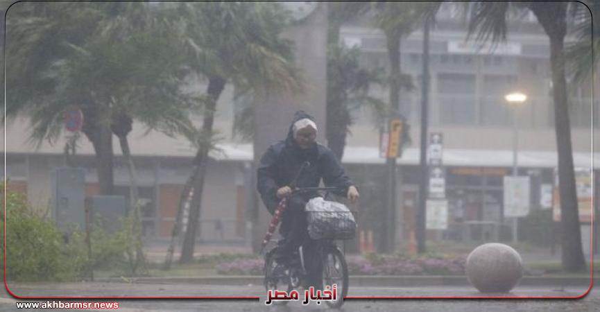 أخبار مصر 2050