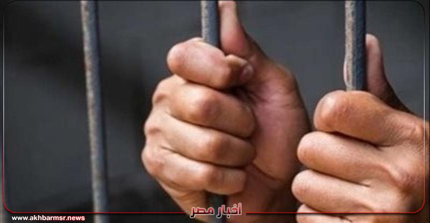 أخبار مصر 2050