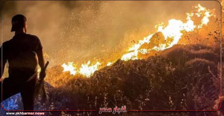 حرائق الغابات
