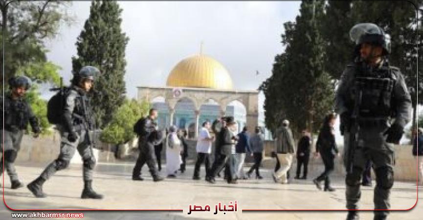 قوات الاحتلال الإسرائيلي