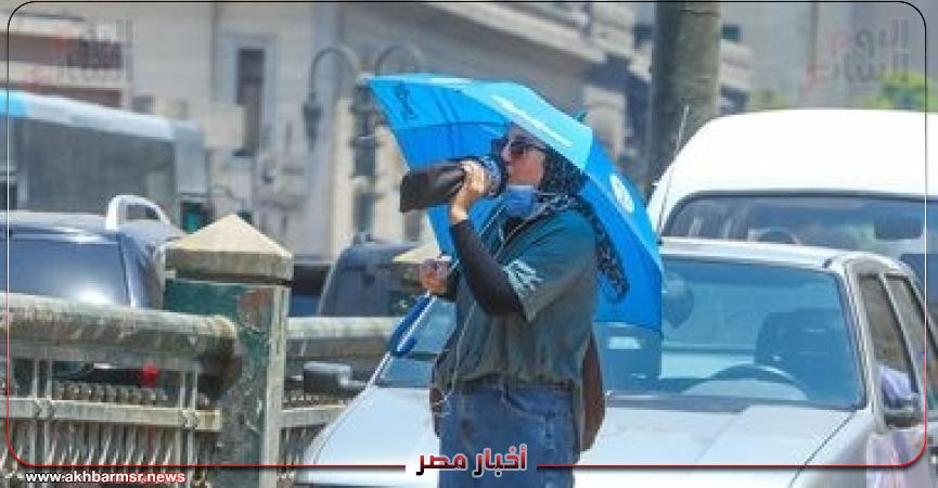 أخبار مصر 2050
