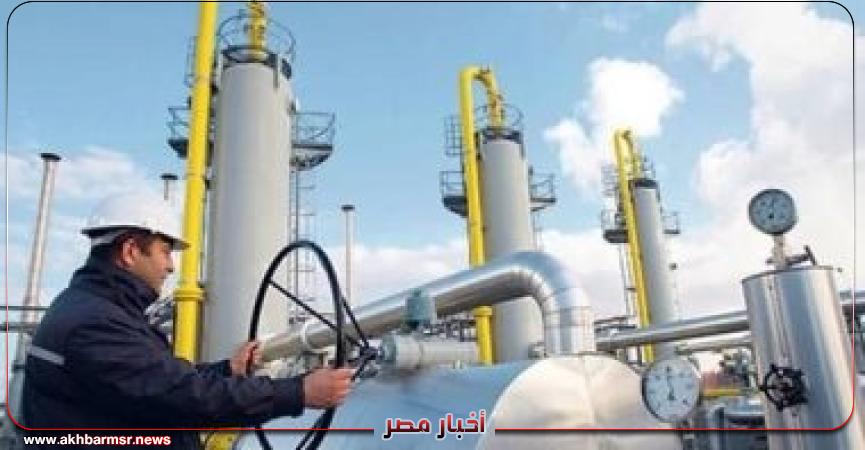 أخبار مصر 2050
