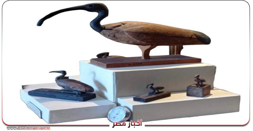 أخبار مصر 2050