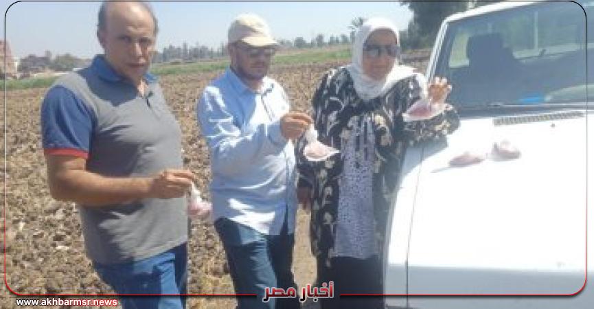 بعض المشاركين في الحملة