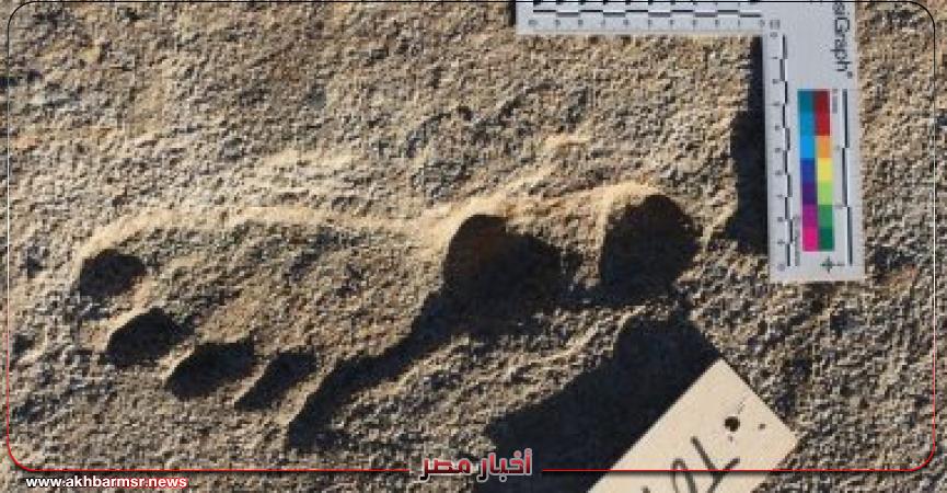 الآثار المتحجرة