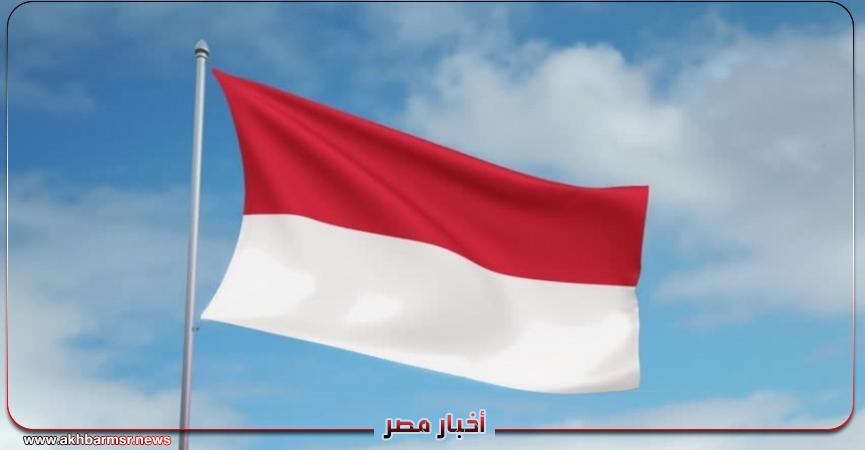أخبار مصر 2050