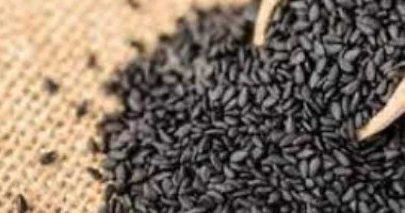 فوائد صحية لتناول بذور السمسم الأسود.. اعرف التفاصيل