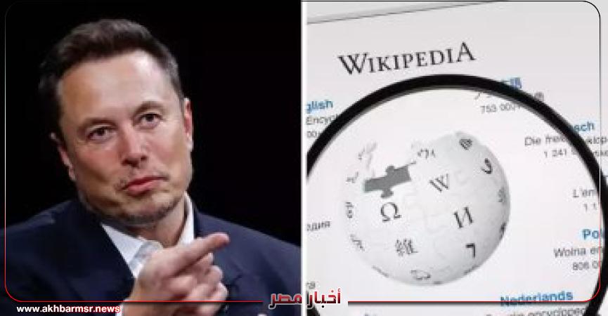 إيلون ماسك و ويكيبيديا