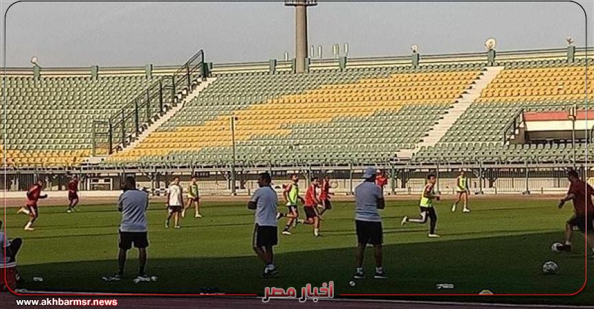 أخبار مصر 2050