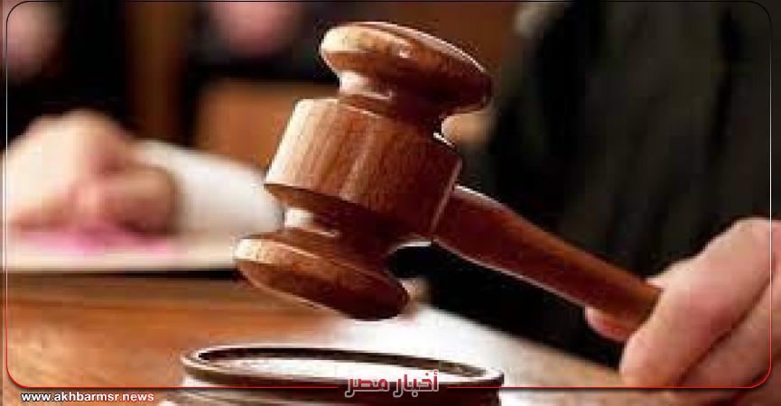 أخبار مصر 2050
