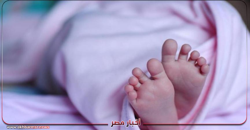 أخبار مصر 2050