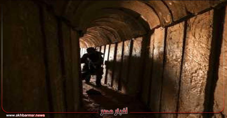 أخبار مصر 2050