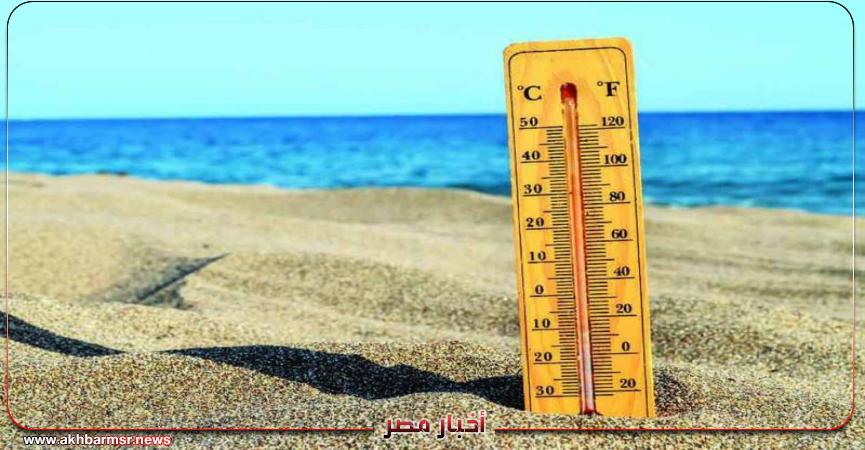 أخبار مصر 2050