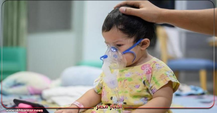 أخبار مصر 2050