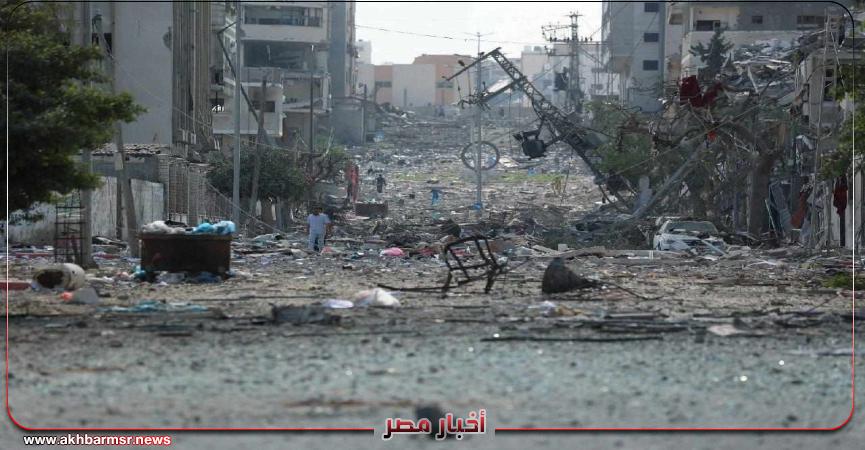 أخبار مصر 2050