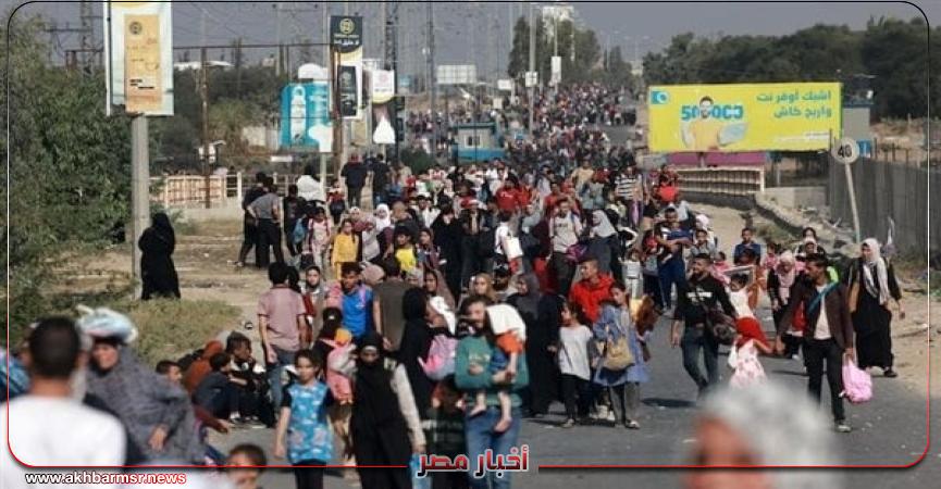 أخبار مصر 2050