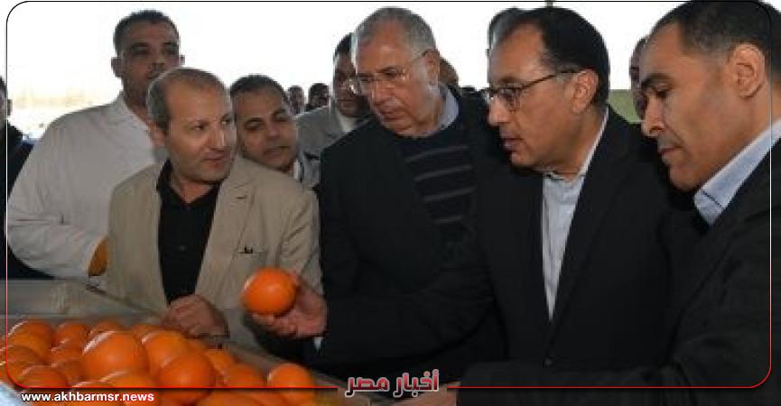 أخبار مصر 2050