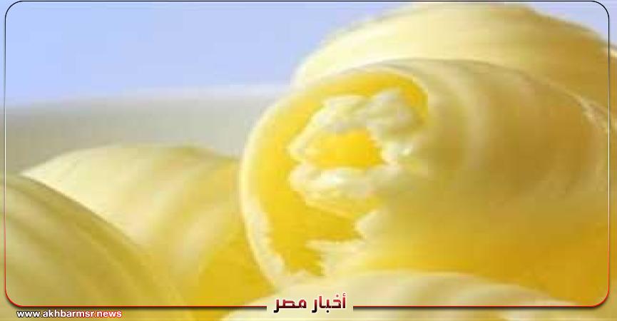 أخبار مصر 2050