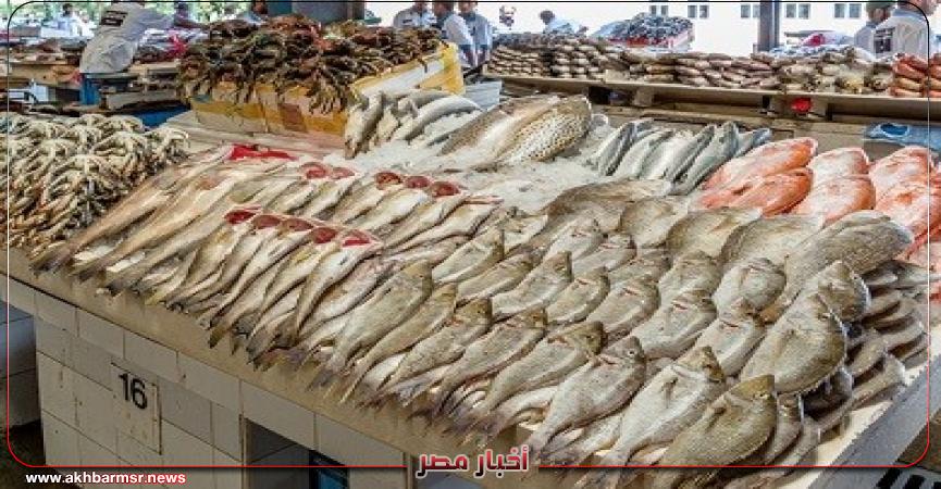 أخبار مصر 2050