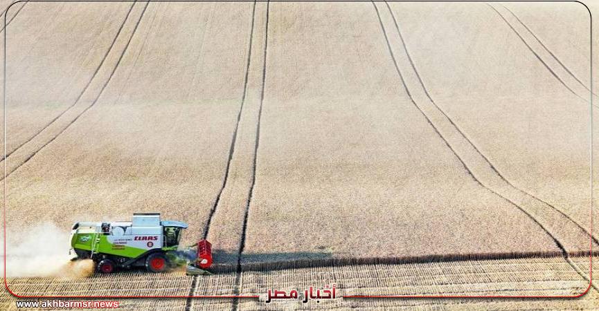 أخبار مصر 2050