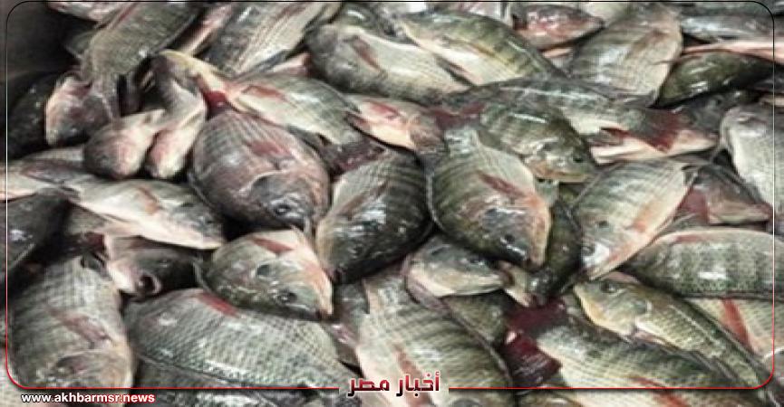 أخبار مصر 2050