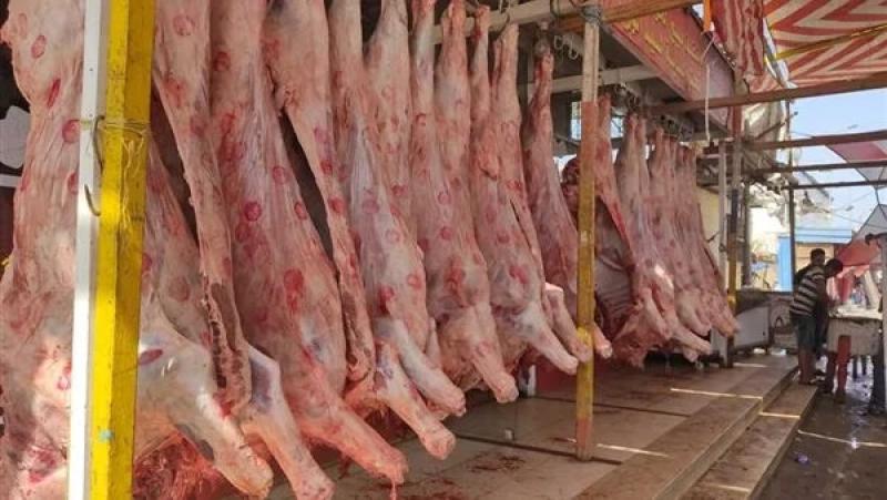 استقرار.. أسعار اللحوم اليوم الأربعاء في الأسواق والمنافذ الحكومية