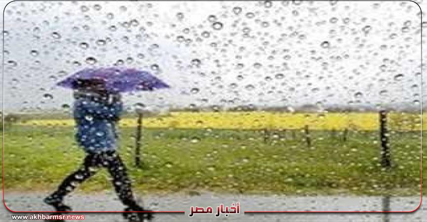 أخبار مصر 2050